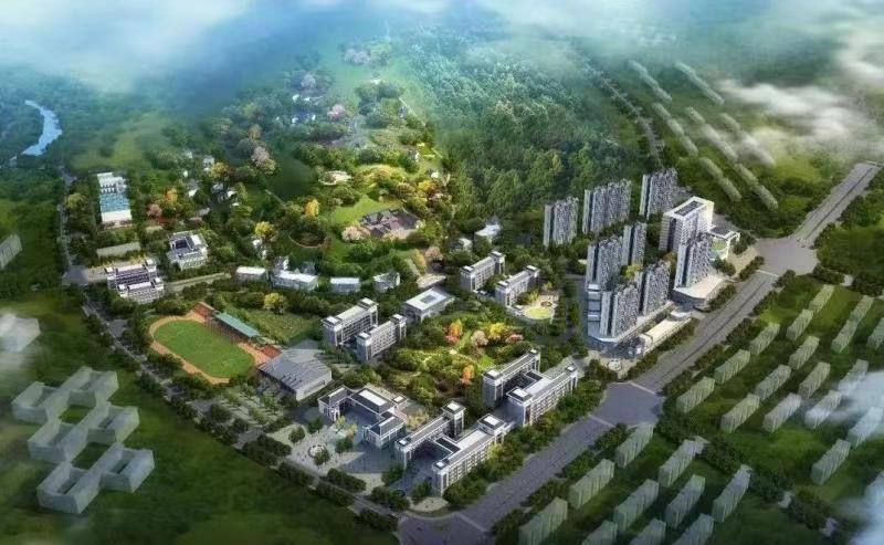 高新区.jpg