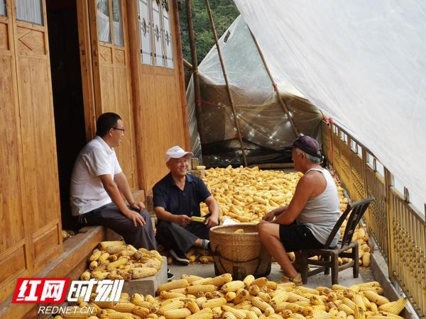 图片1.jpg