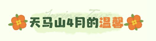 微信截图_20220419152247.png