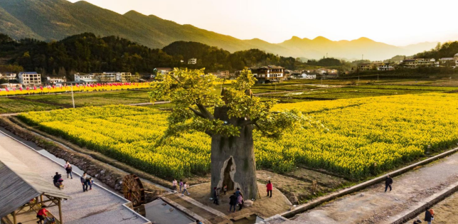 微信截图_20220825095638.png
