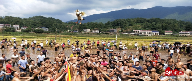 微信截图_20220825100958.png