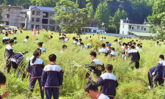 微信截图_20220825101153.png